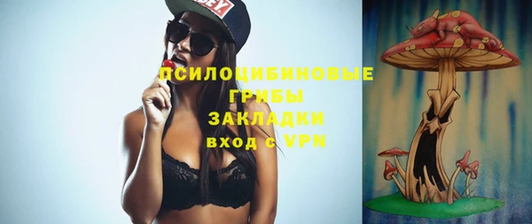спиды Козловка