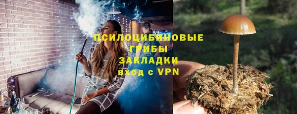 спиды Козловка