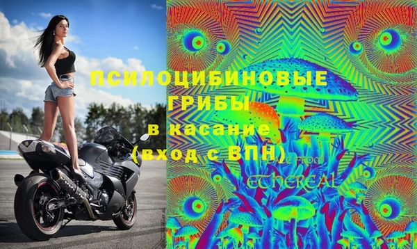 спиды Козловка