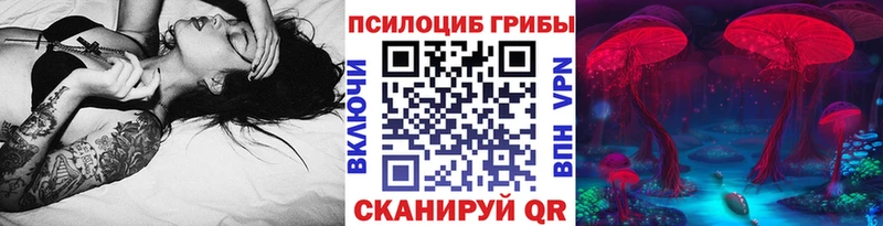 Купить где  Пучеж  Галлюциногенные грибы Magic Shrooms 